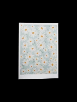 Plakat A3 Rammer Og Plakater