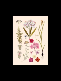 Discount Plakat A3 Rammer Og Plakater