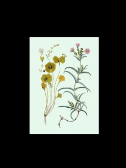 Clearance Plakat A3 Rammer Og Plakater