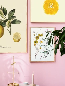 Clearance Plakat A3 Rammer Og Plakater