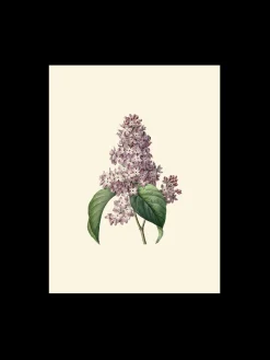 Sale Plakat A3 Rammer Og Plakater