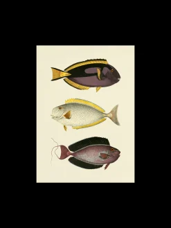 Clearance Plakat A3 Rammer Og Plakater