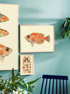 Online Plakat A3 Rammer Og Plakater