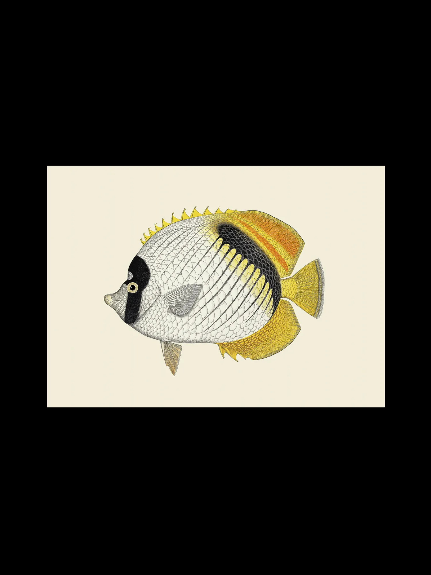 Discount Plakat A3 Rammer Og Plakater