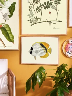 Discount Plakat A3 Rammer Og Plakater