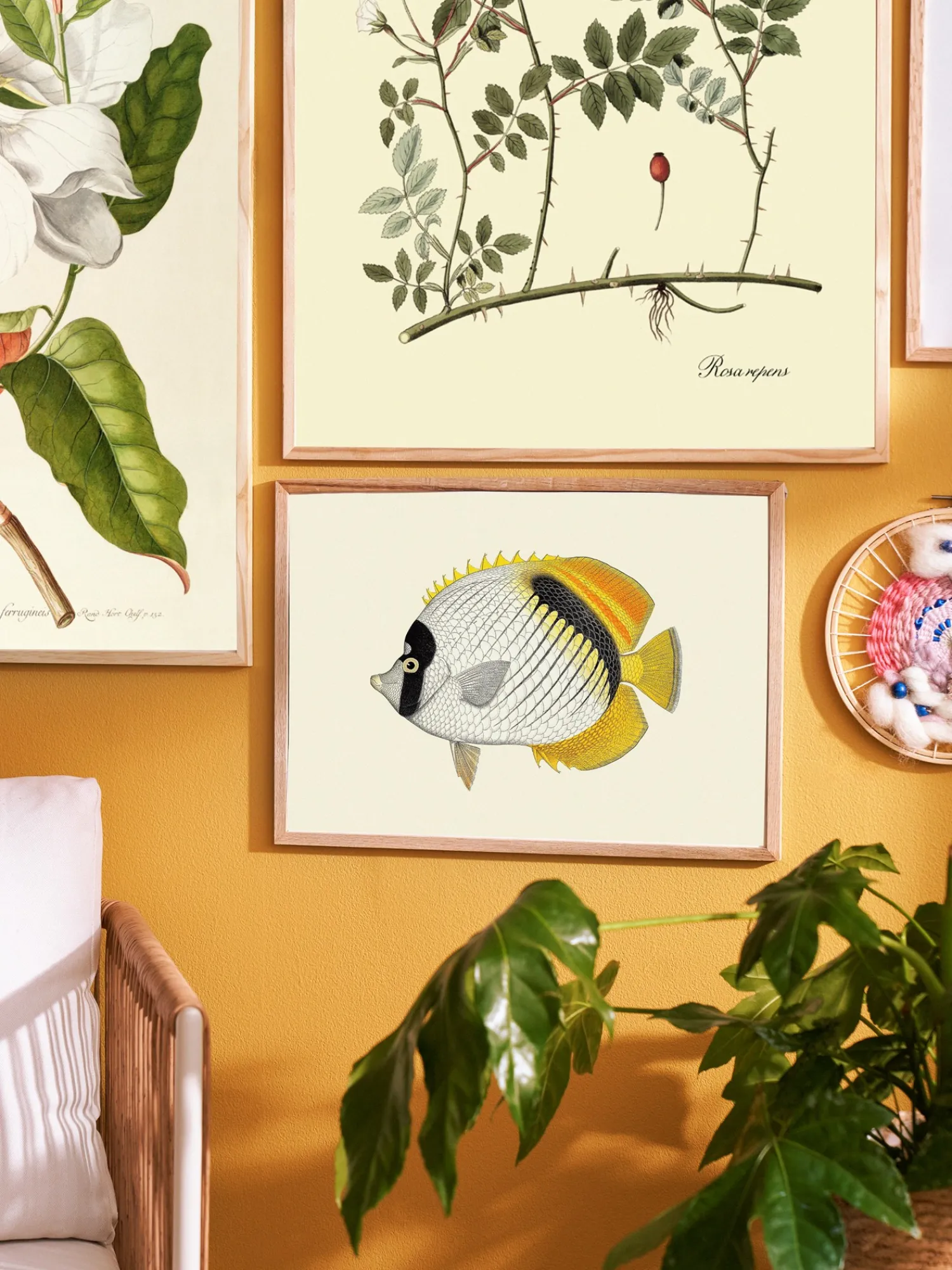 Discount Plakat A3 Rammer Og Plakater