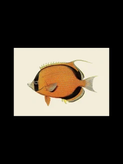 Sale Plakat A3 Rammer Og Plakater