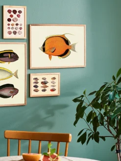 Sale Plakat A3 Rammer Og Plakater