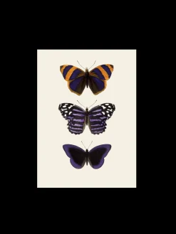 Discount Plakat A3 Rammer Og Plakater