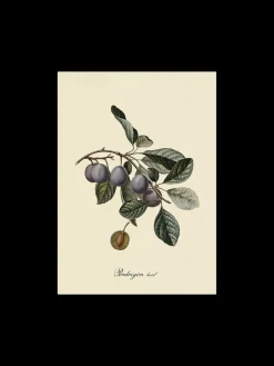 Discount Plakat A3 Rammer Og Plakater