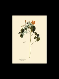 Hot Plakat A3 Rammer Og Plakater