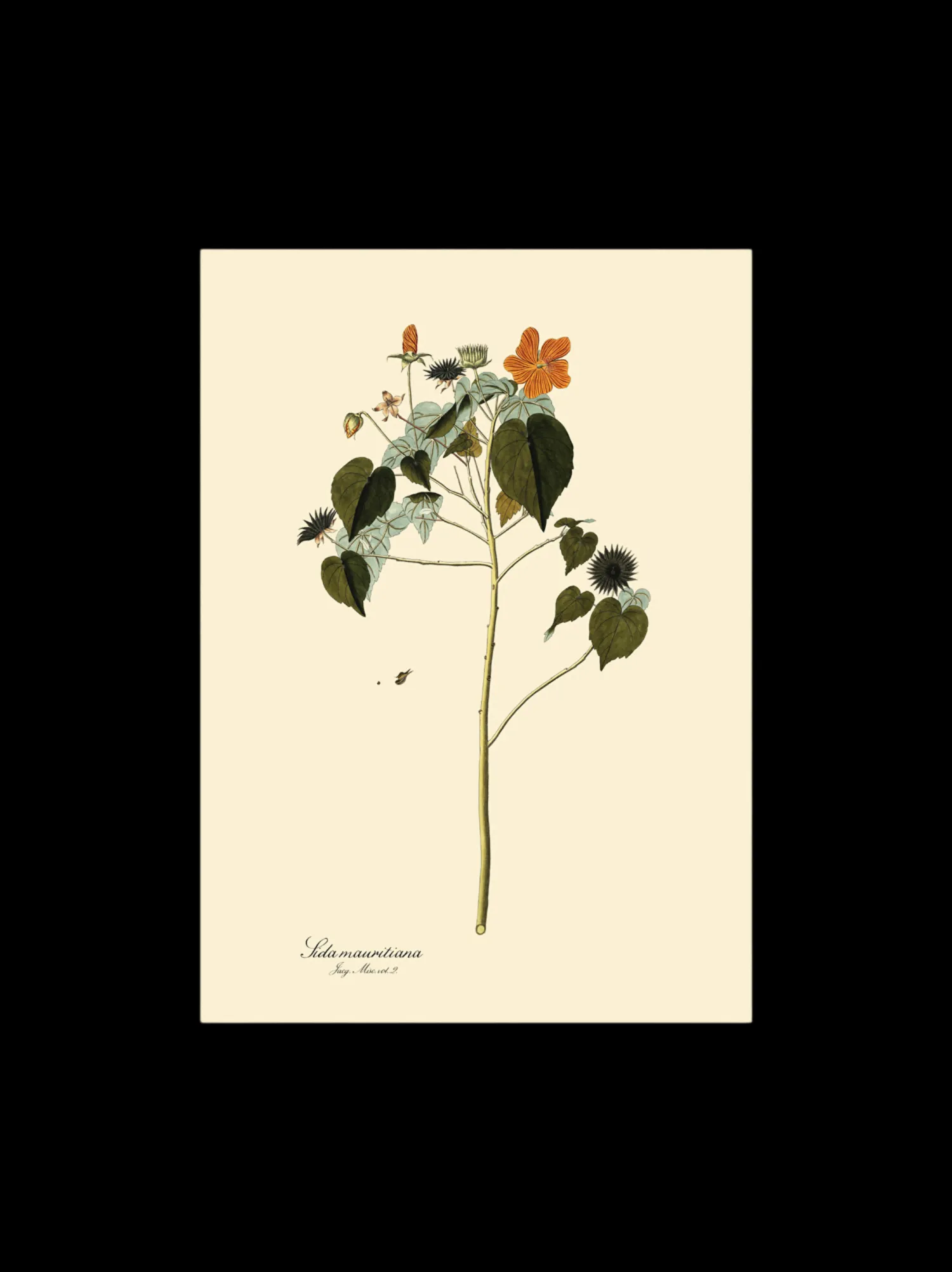 Hot Plakat A3 Rammer Og Plakater