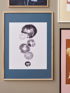 Plakat Mushroom – 4 Grey 40 X 50 Cm Rammer Og Plakater