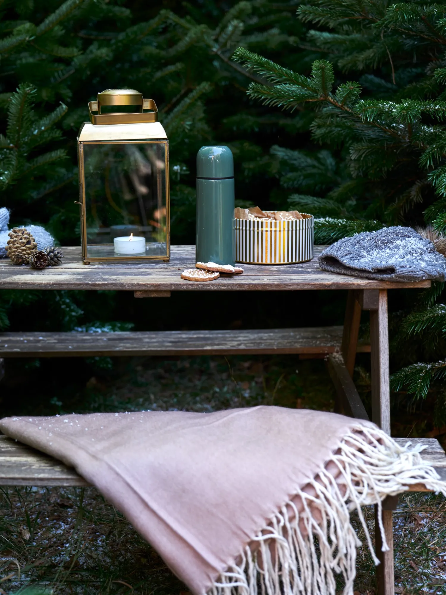 Clearance Pledd Tepper