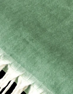 Clearance Pledd Tepper