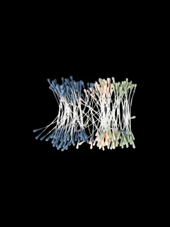 Støvbærere Dekorasjon