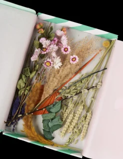 Best Tørkede Blomster BloomPost Pastel Dekorasjon