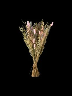 Outlet Tørkede Blomster Iceberg Medium Dekorasjon