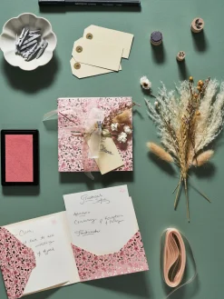 Tørkede Blomster Til Hobbyprosjekter Dekorasjon