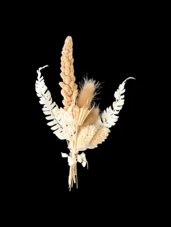 Online Tørkede Blomster Til Hobbyprosjekter Dekorasjon