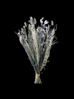 Best Tørkede Blomster Vigga Liten Dekorasjon