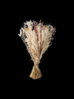 Sale Tørkede Blomster White Medium Dekorasjon