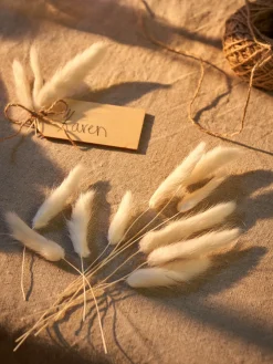 Tørket Haresvans For Hobbyprosjekter Dekorasjon