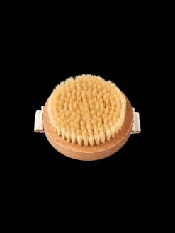 Hot Tørr Kroppsbørste Børster Og Kammer