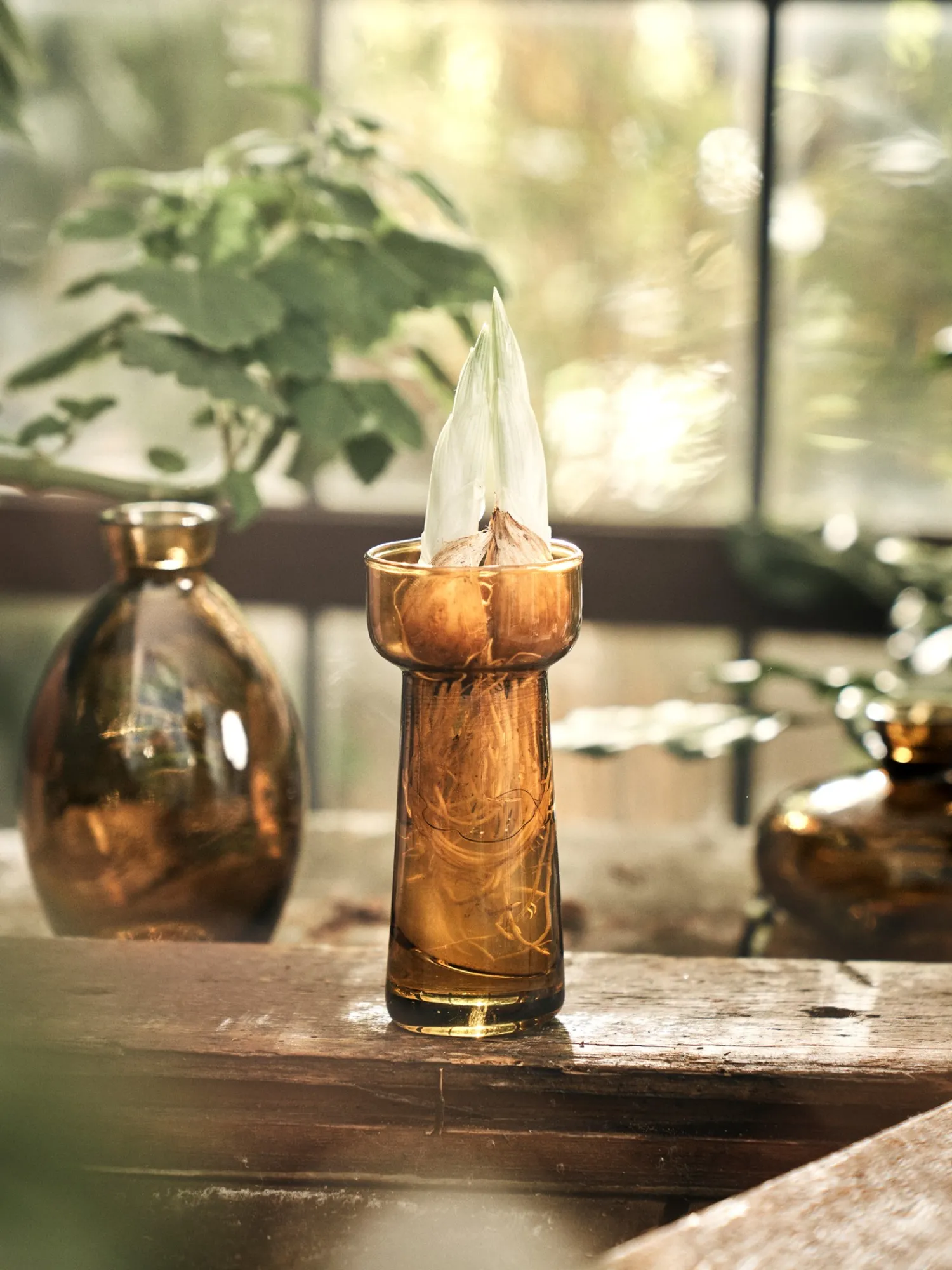 Outlet Vase Vaser Og Potter