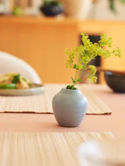 Vase Vaser Og Potter